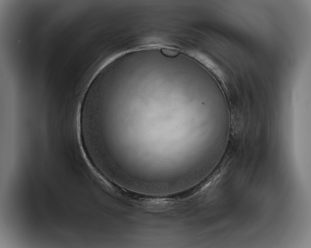 X0000093501431200710121505