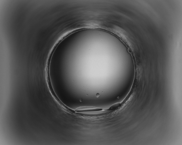 X0000093501432200710121505