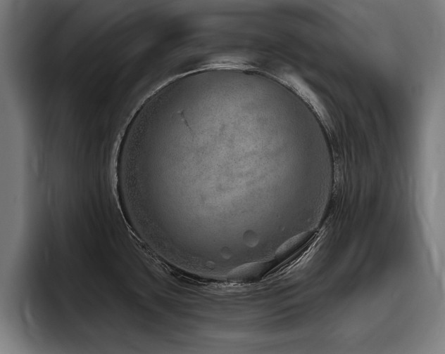 X0000093501435200710121505