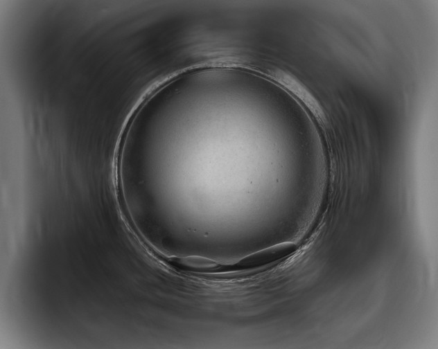 X0000093501436200710121505