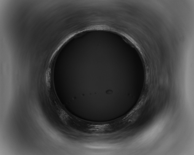 X0000093501438200710121505