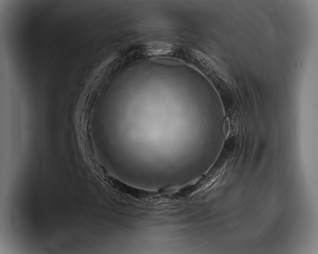 X0000093501441200710121505