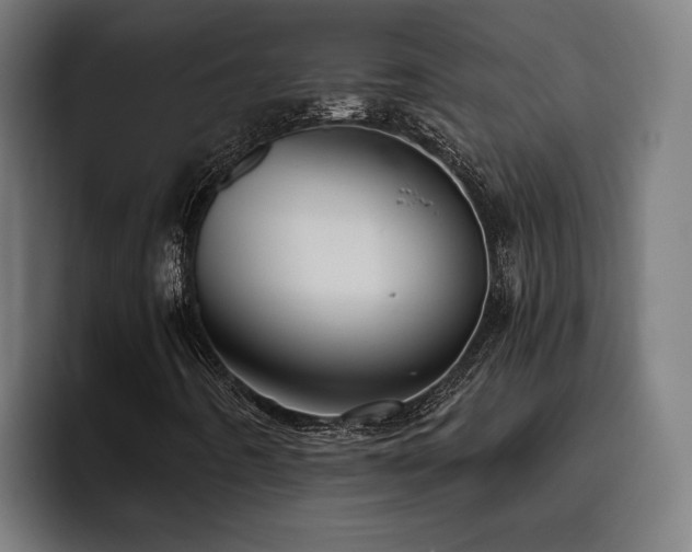 X0000093501442200710121505