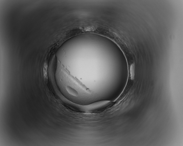 X0000093501443200710121505
