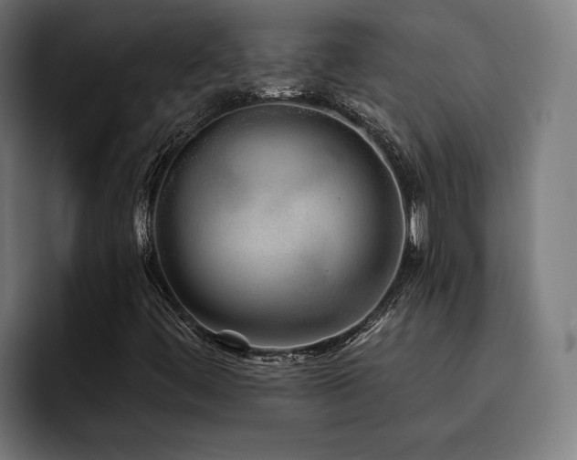X0000093501444200710121505