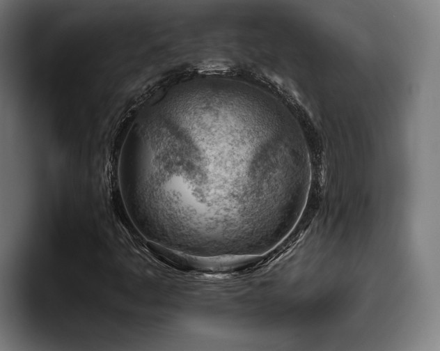 X0000093501445200710121505