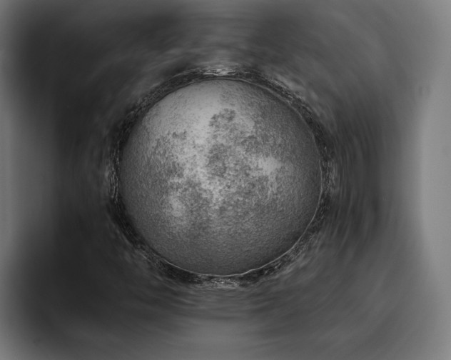 X0000093501446200710121505