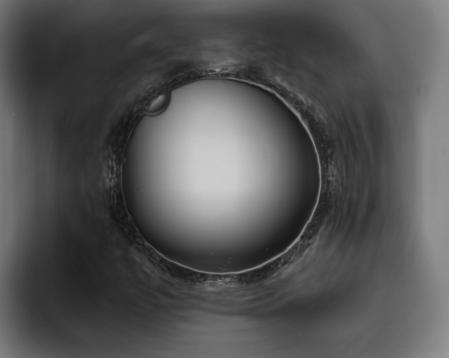 X0000093501447200710121505