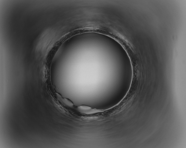 X0000093501448200710121505