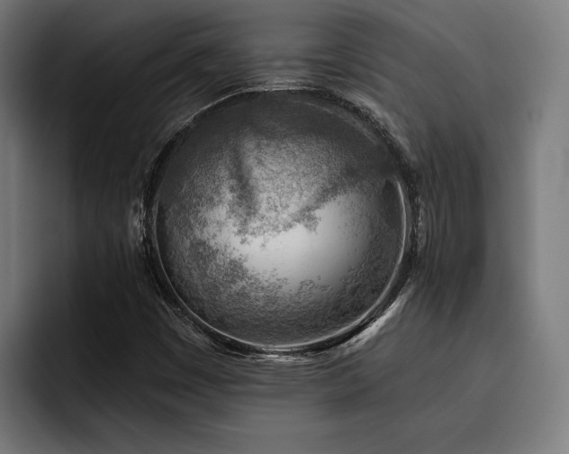 X0000093501449200710121505