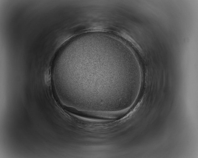 X0000093501450200710121505