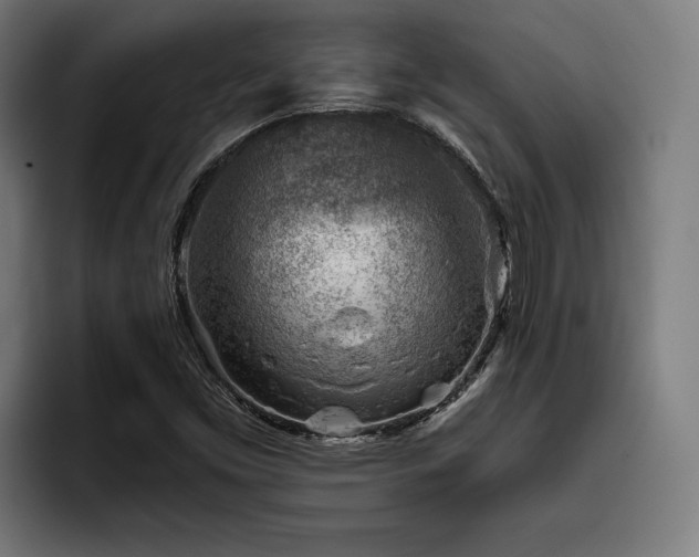X0000093501453200710121505