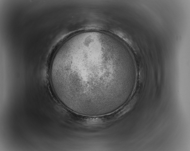 X0000093501454200710121505