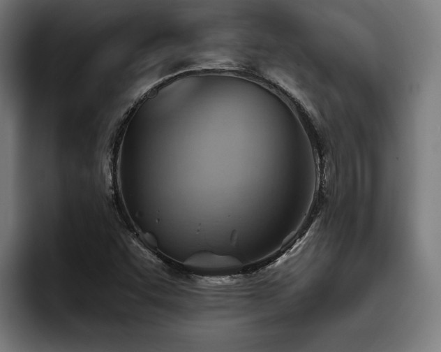 X0000093501455200710121504