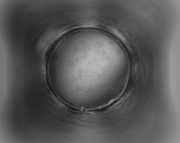 X0000093501456200710121504