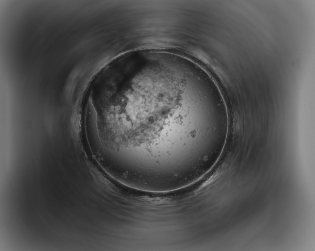 X0000093501459200710121504