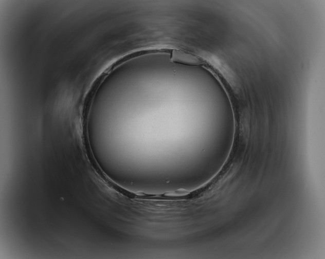X0000093501460200710121504