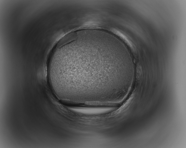 X0000093501461200710121504