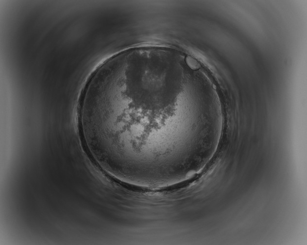 X0000093501463200710121504