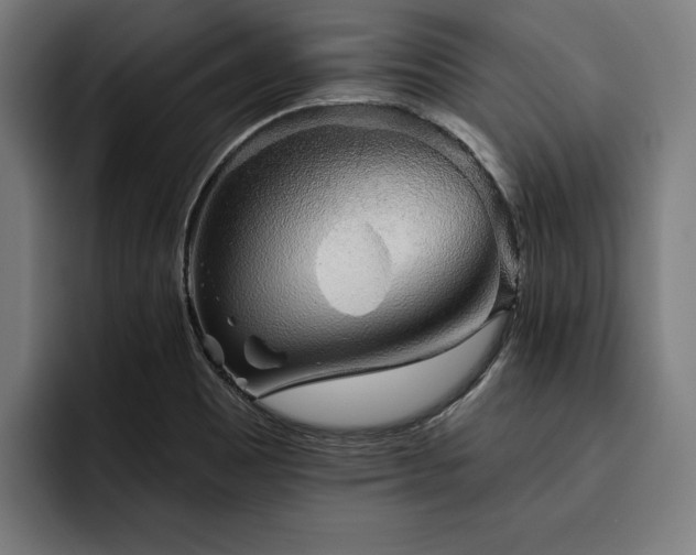 X0000093501465200710121504