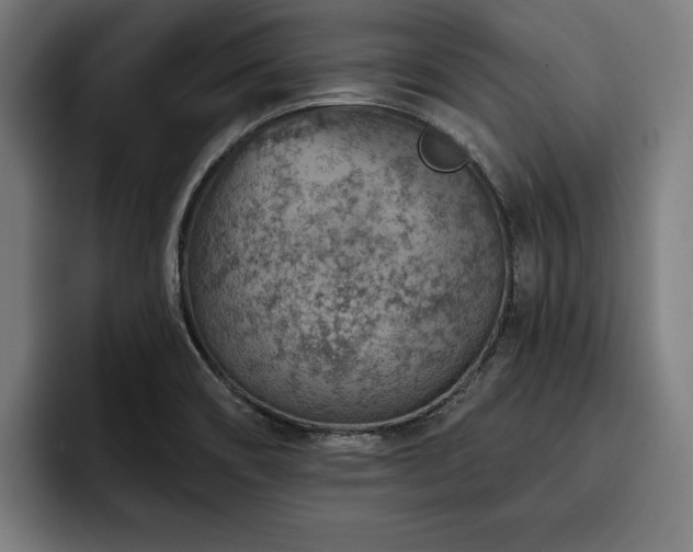 X0000093501466200710121504