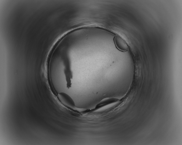 X0000093501468200710121504