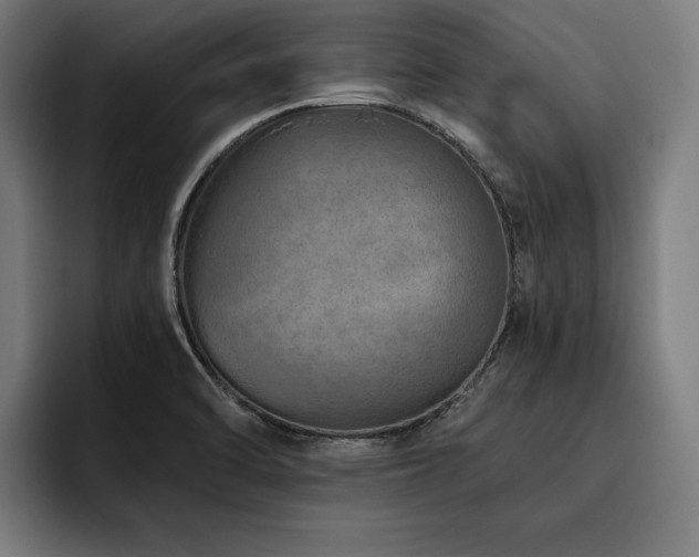 X0000093501470200710121504