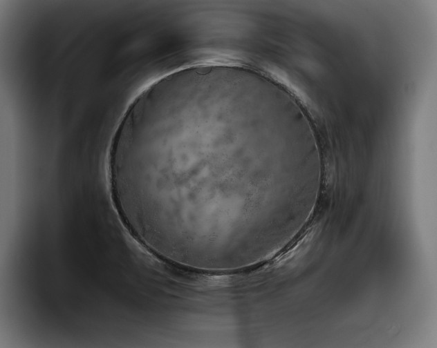X0000093501471200710121504