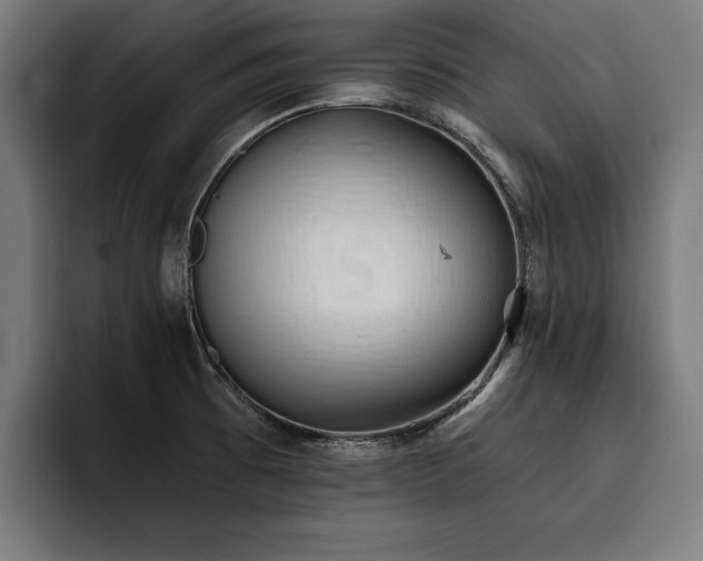 X0000093501473200710121504