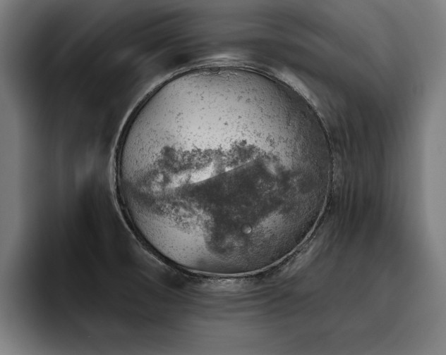 X0000093501474200710121504