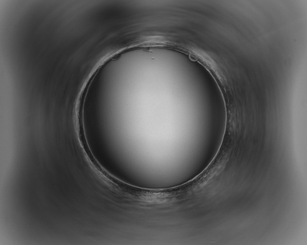 X0000093501475200710121504
