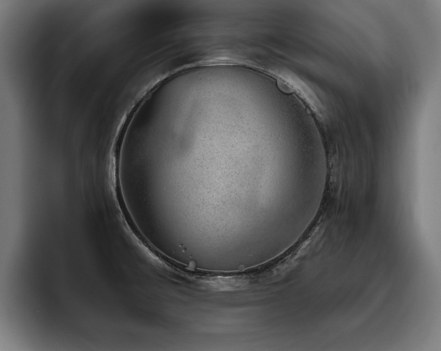 X0000093501476200710121504