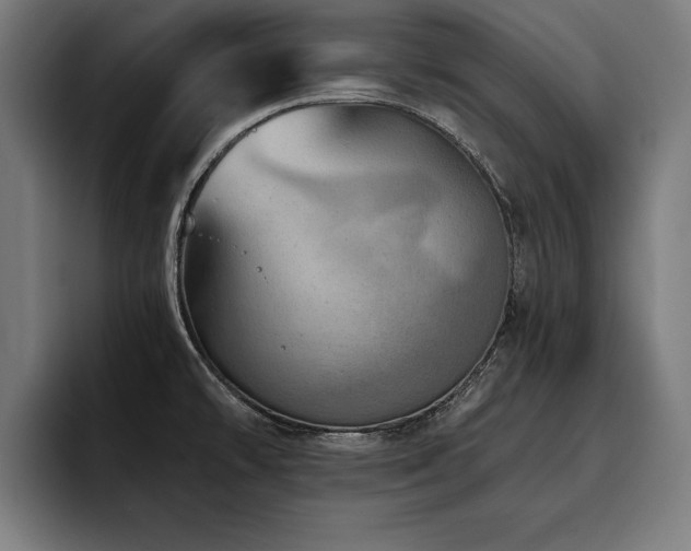 X0000093501478200710121504