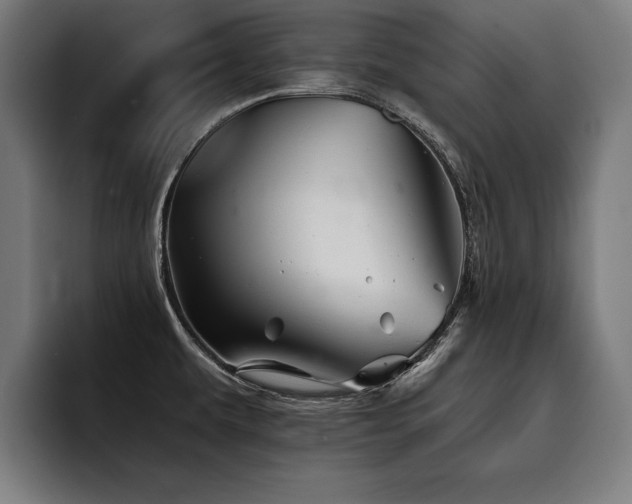 X0000093501479200710121504