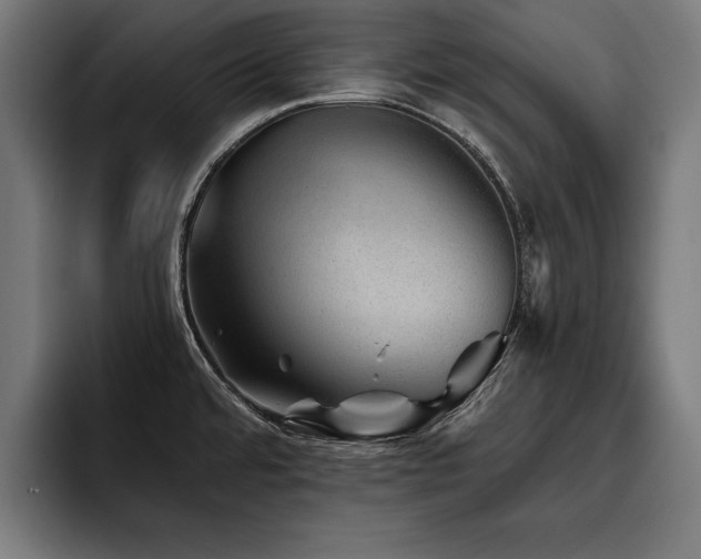 X0000093501480200710121504