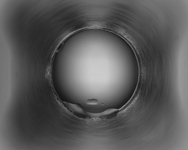 X0000093501481200710121504