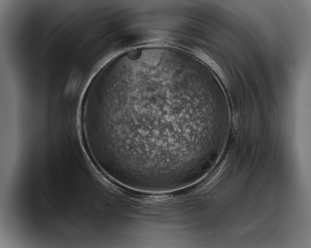 X0000093501482200710121504