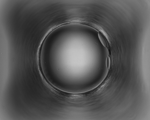 X0000093501483200710121504