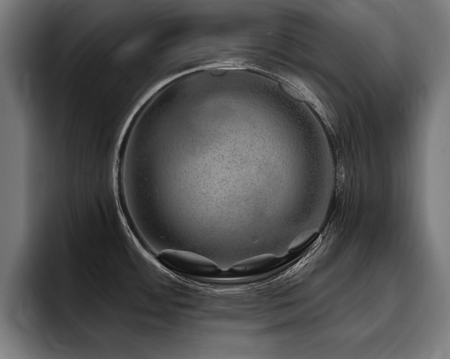X0000093501484200710121504