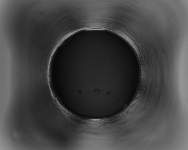 X0000093501485200710121504
