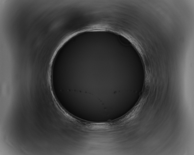 X0000093501486200710121504
