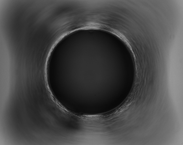X0000093501488200710121504