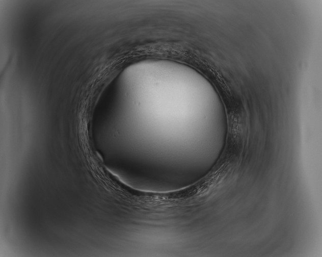 X0000093501489200710121504