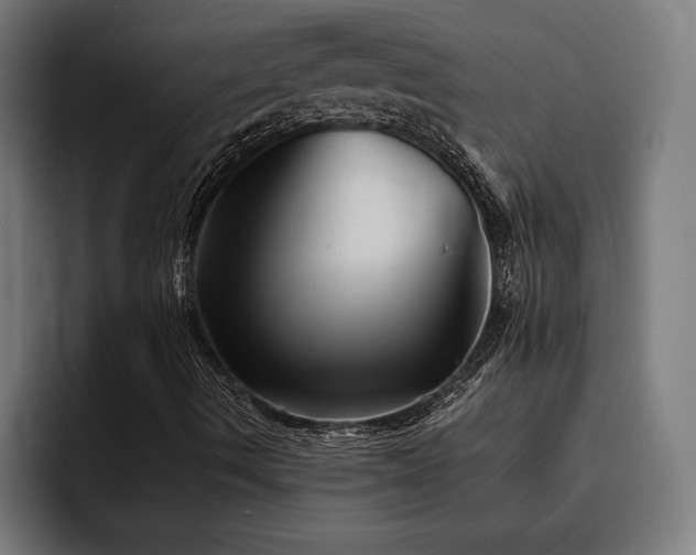 X0000093501490200710121504