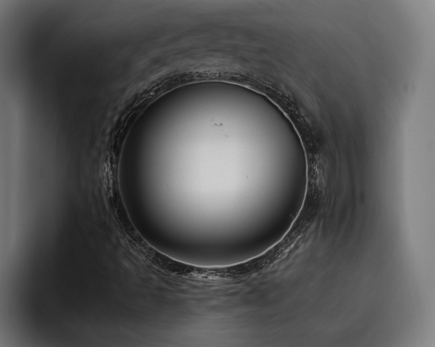 X0000093501493200710121504