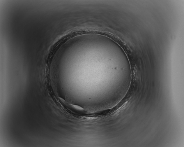 X0000093501494200710121504
