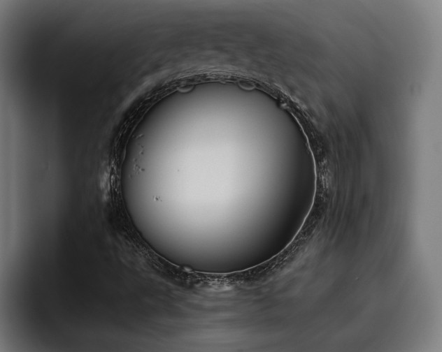 X0000093501495200710121504