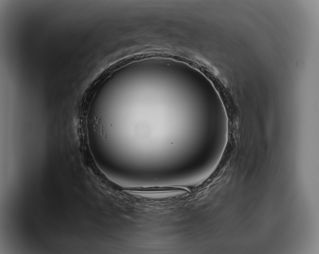 X0000093501496200710121504