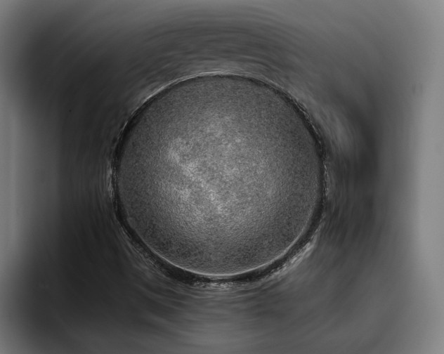 X0000093501497200710121504