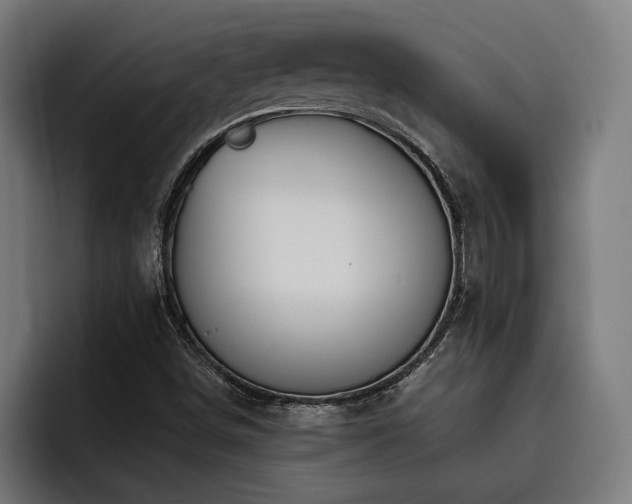 X0000093501498200710121504